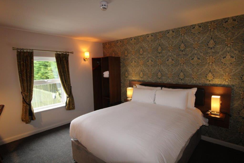 Rooms @ The Dolau Inn New Quay  Bagian luar foto